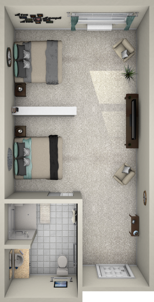 Companion Suite